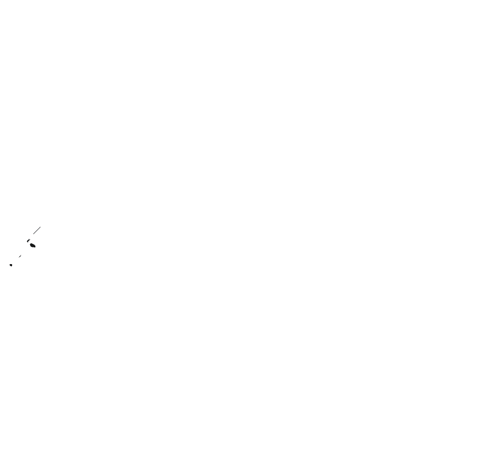Grizzly Tree Experts