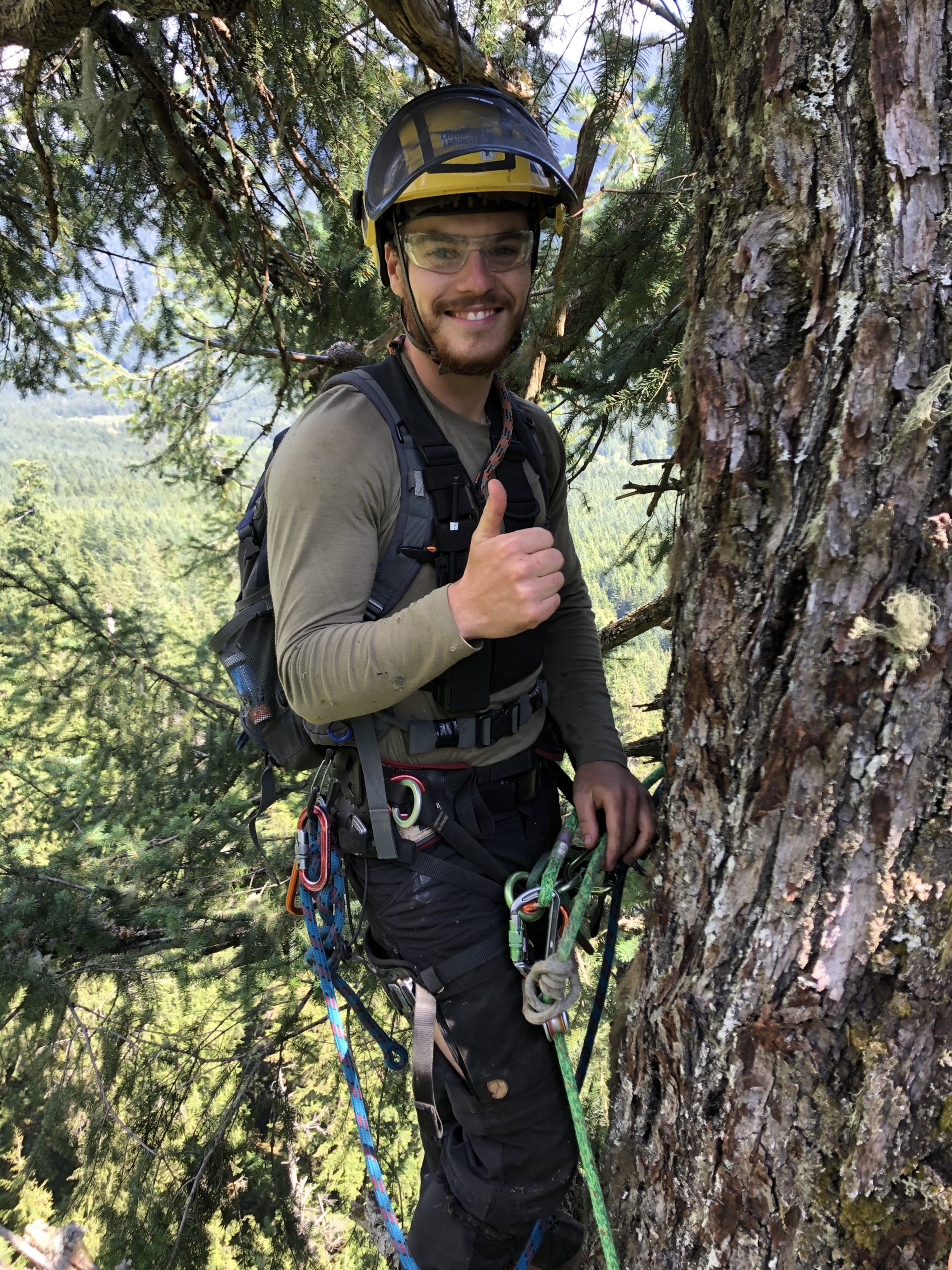 Conor in Old Growth Fir tree