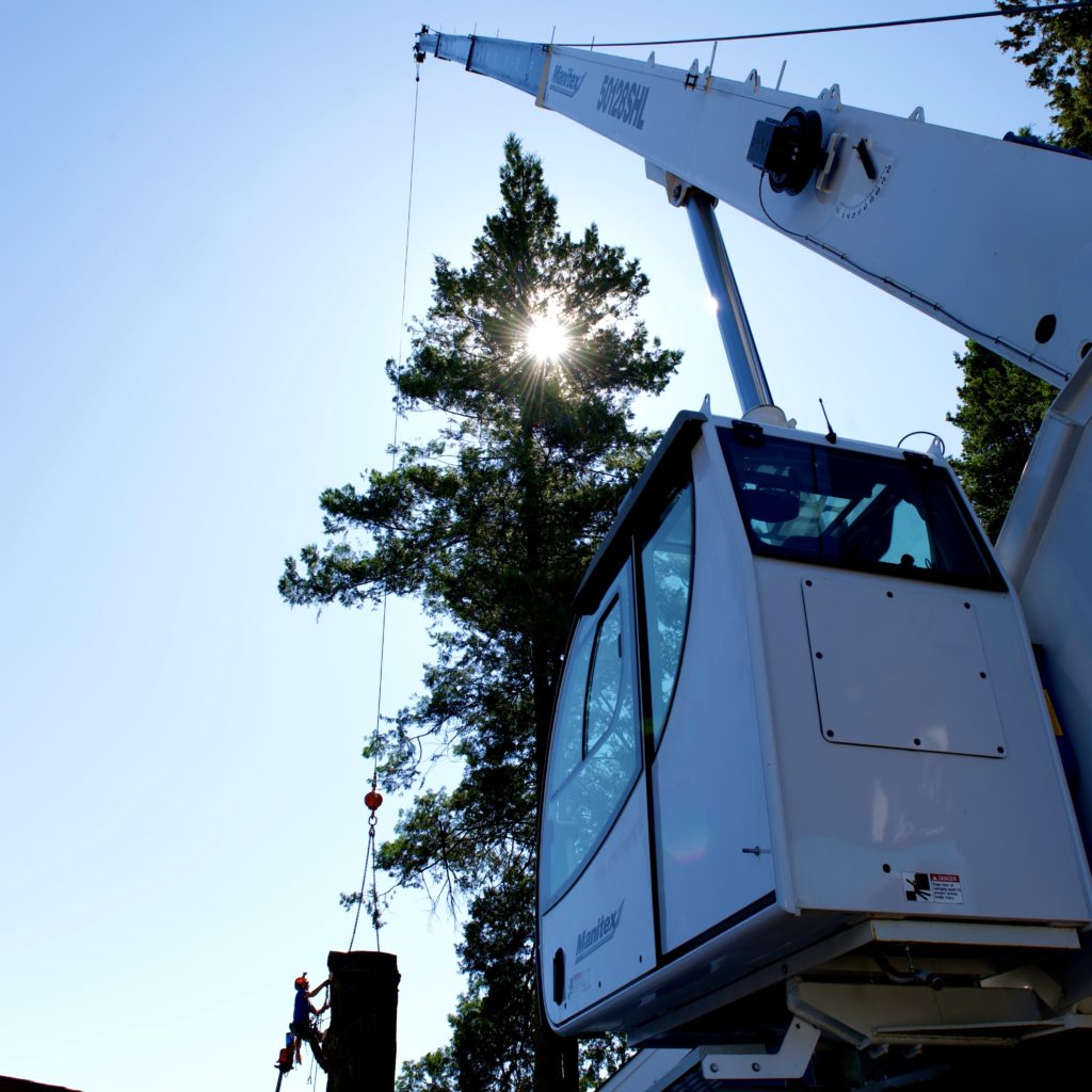 Dan Grizzly Tree Experts crane removal